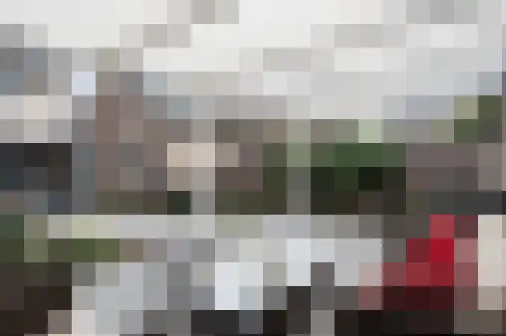 Salviusstraat 22 Limbricht thumbnail 35