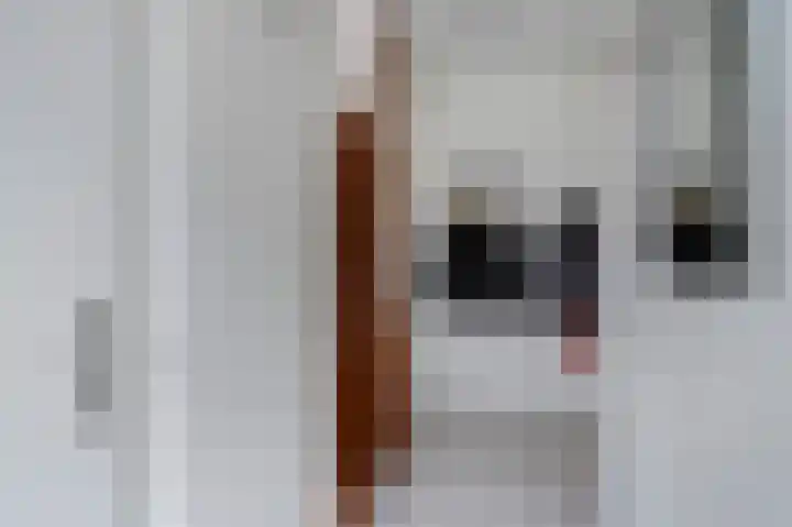 Salviusstraat 22 Limbricht thumbnail 7