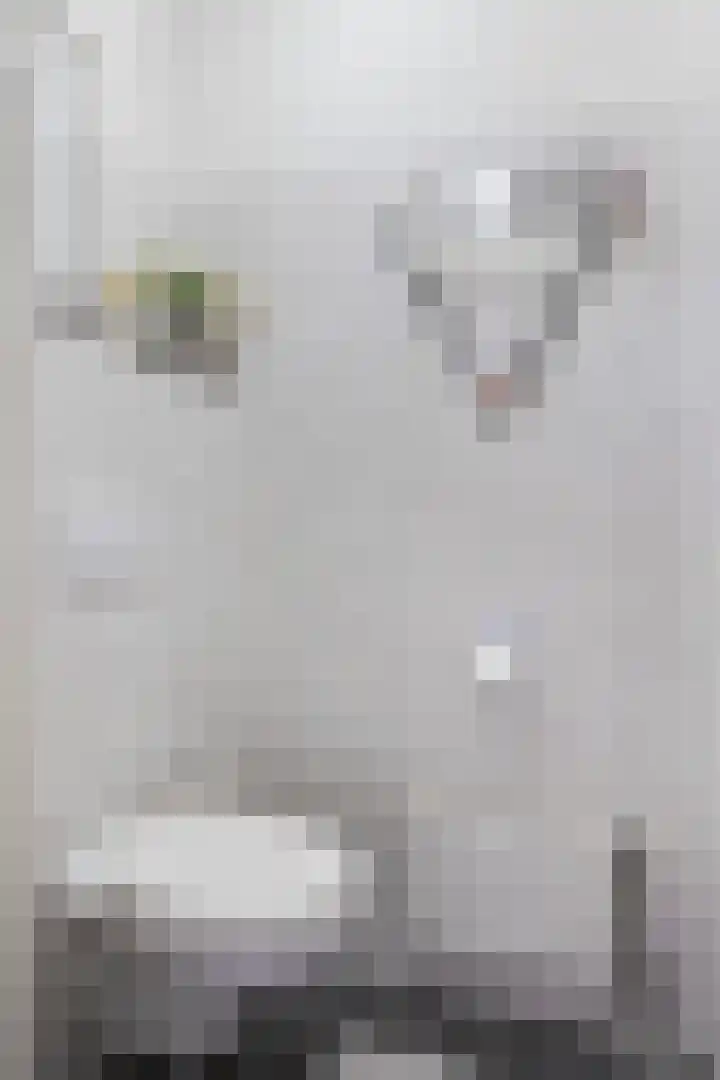 Salviusstraat 22 Limbricht thumbnail 9