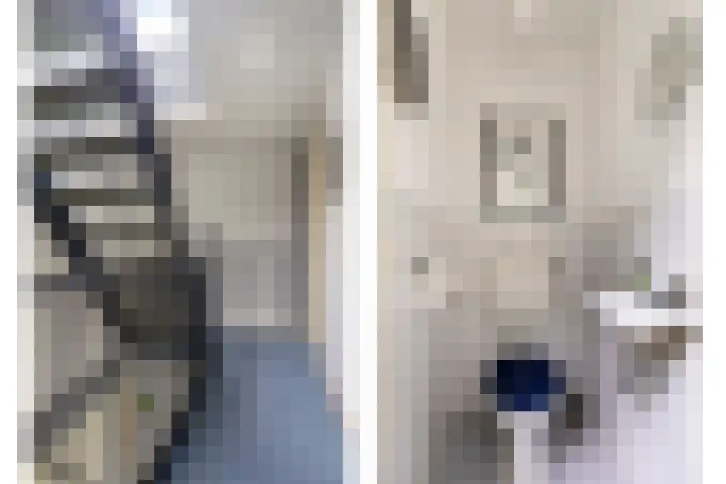 Sam Gewissies 1 Geldrop thumbnail 24