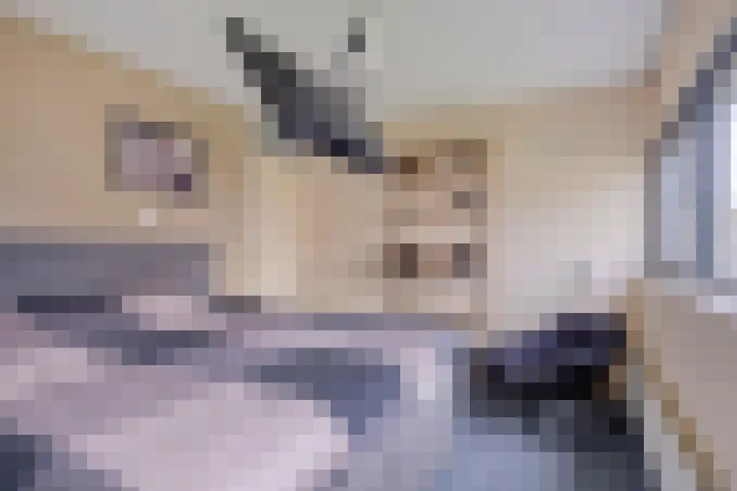 Sam Gewissies 1 Geldrop thumbnail 28