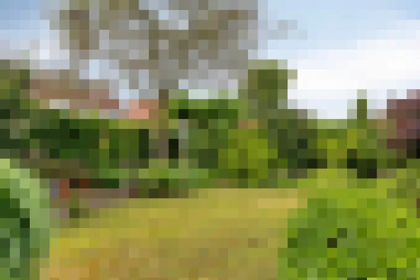 Sam Gewissies 1 Geldrop thumbnail 48