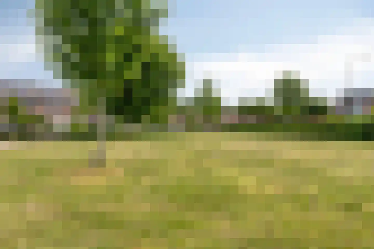 Sam Gewissies 1 Geldrop thumbnail 58
