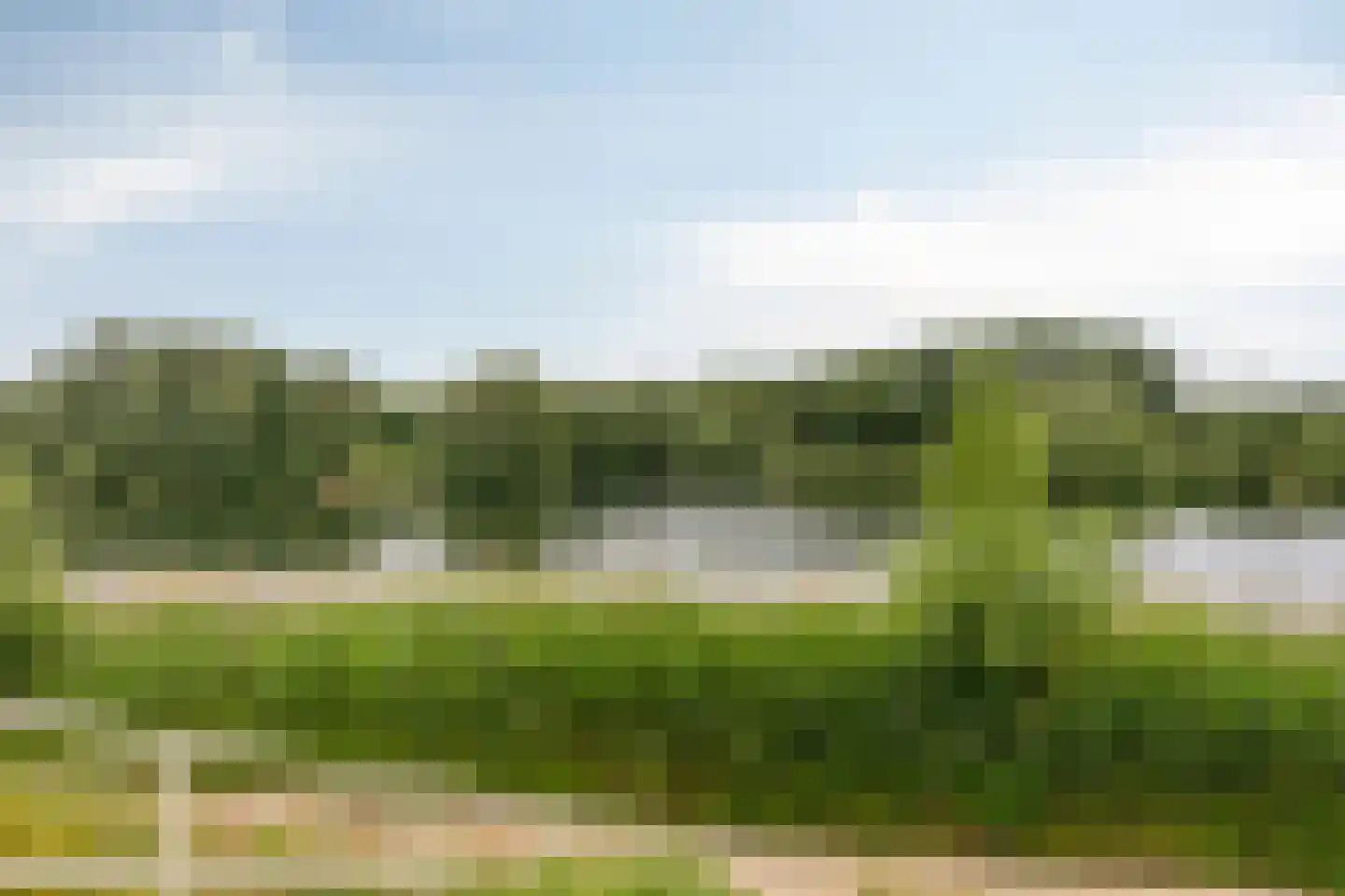 Sam Gewissies 1 Geldrop thumbnail 59