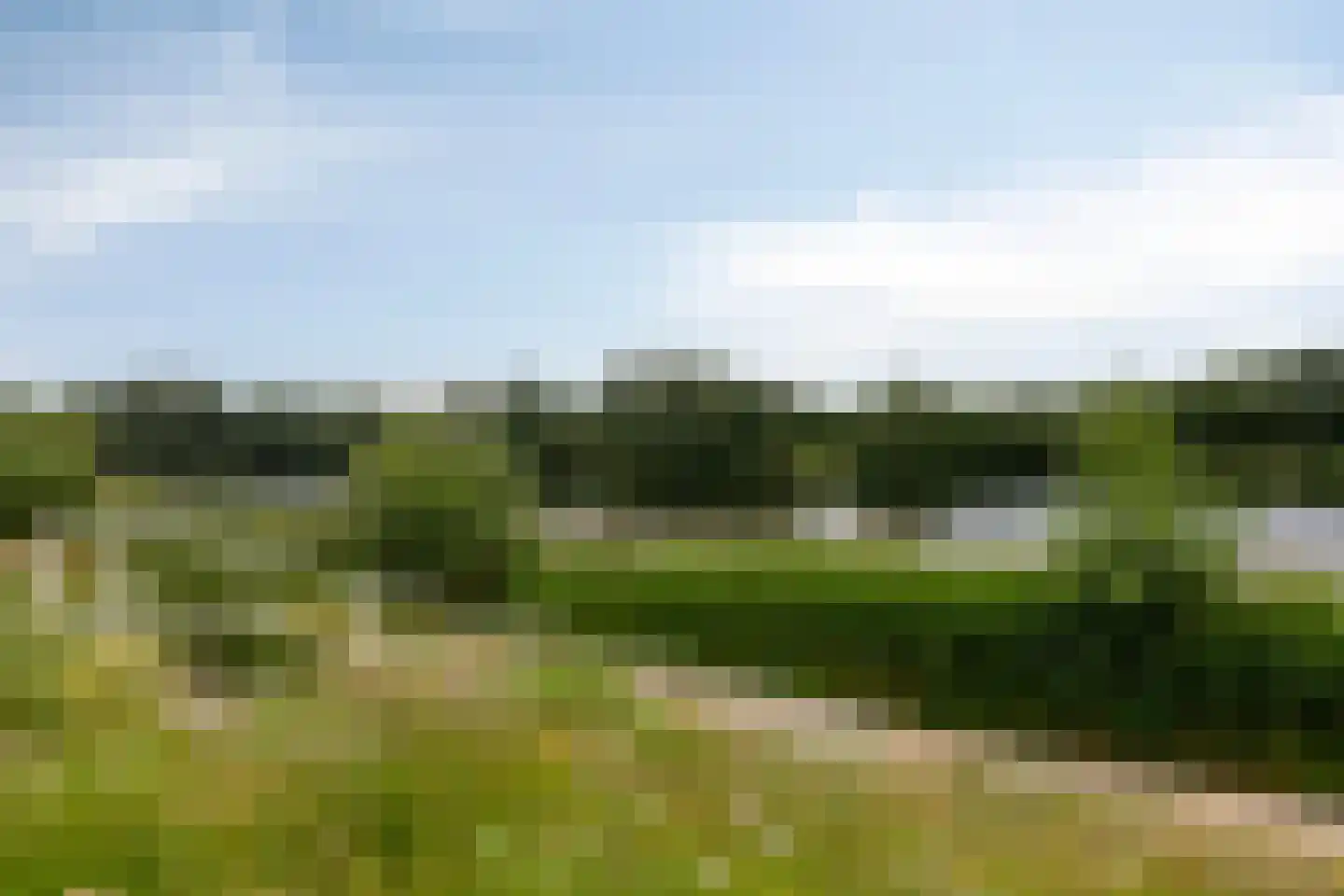 Sam Gewissies 1 Geldrop thumbnail 60