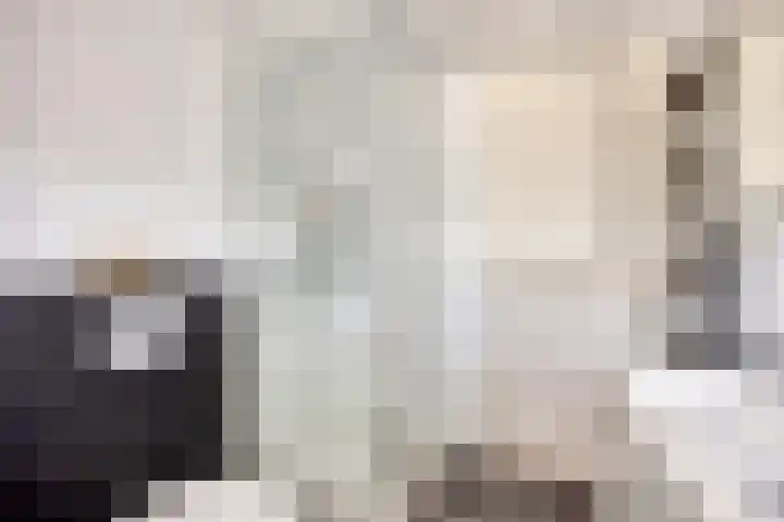 Sam Gewissies 52 Geldrop thumbnail 23