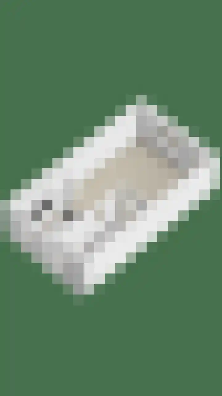 Sam Gewissies 52 Geldrop thumbnail 37