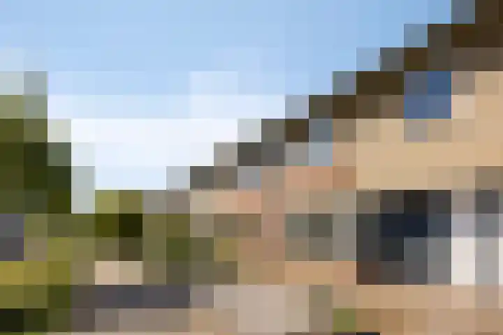 Sam Gewissies 52 Geldrop thumbnail 7