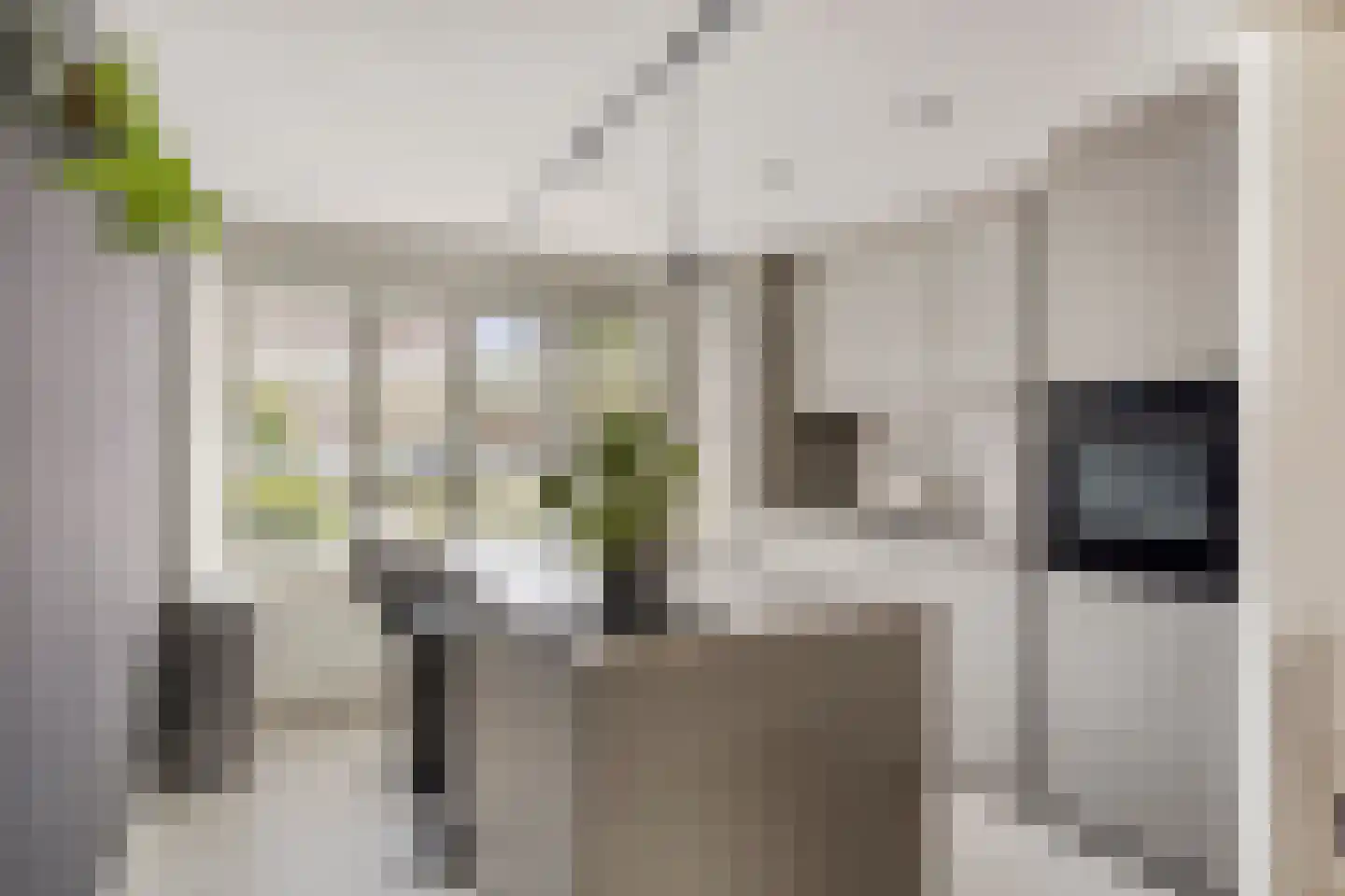 Sam Gewissies 56 Geldrop thumbnail 18