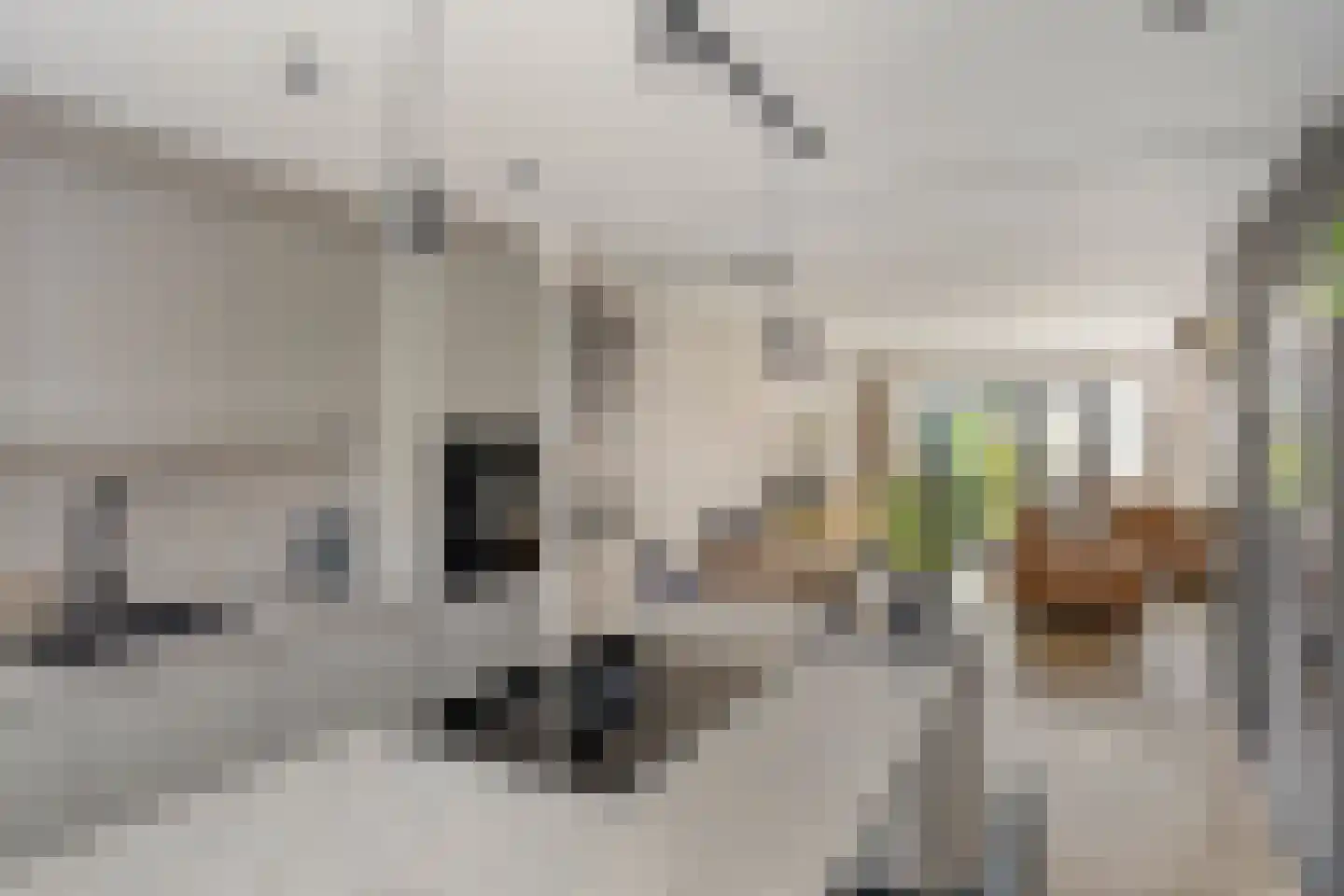 Sam Gewissies 56 Geldrop thumbnail 23