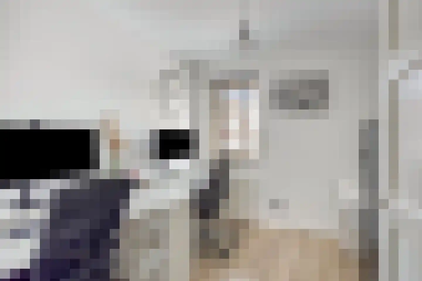 Sam Gewissies 56 Geldrop thumbnail 32