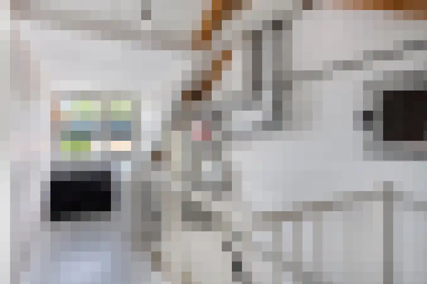 Sam Gewissies 56 Geldrop thumbnail 33