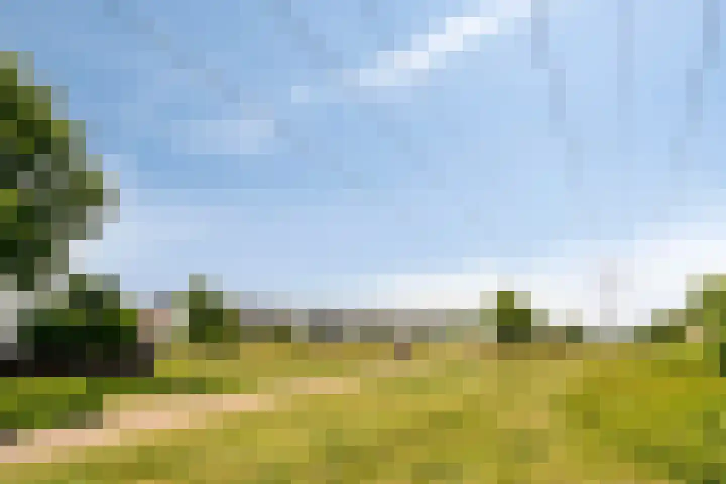 Sam Gewissies 56 Geldrop thumbnail 48