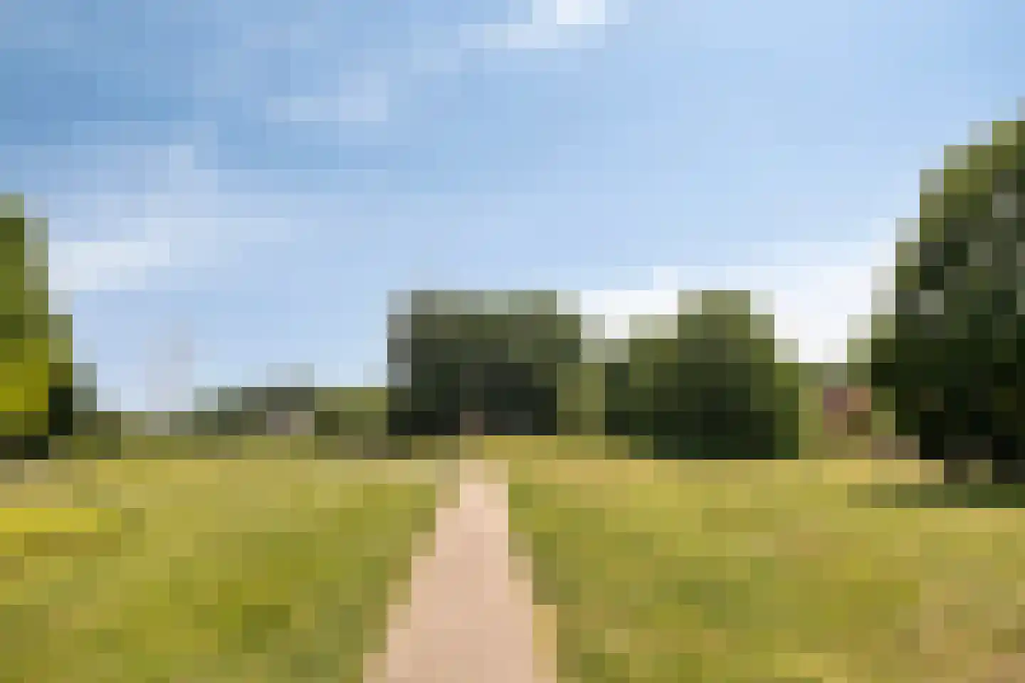 Sam Gewissies 56 Geldrop thumbnail 50