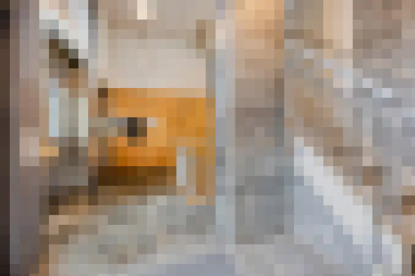 Sam van Houtenstraat 193 C Amsterdam thumbnail 22