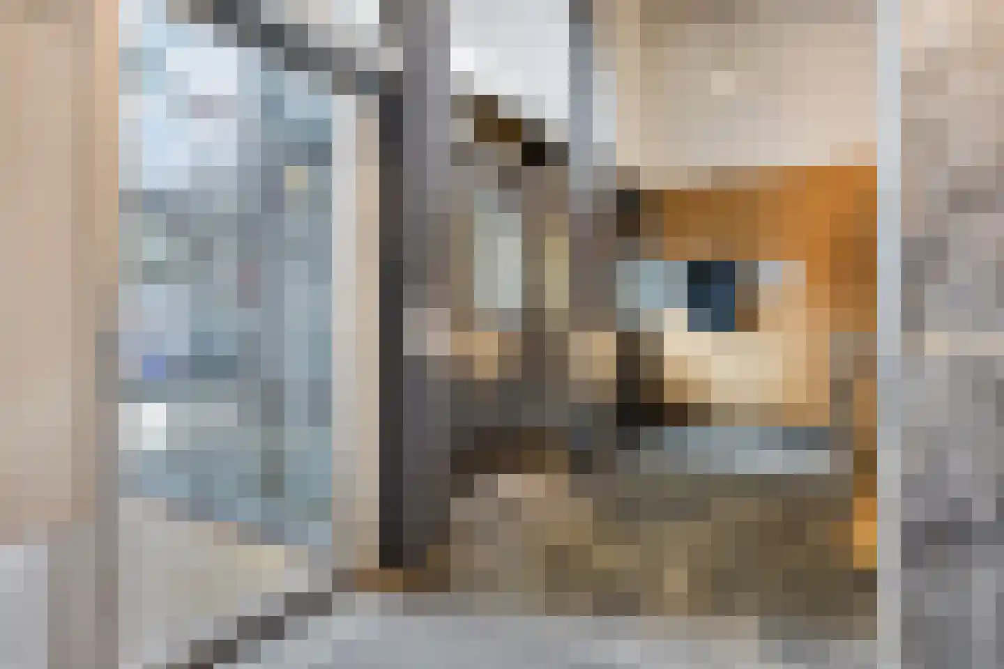 Sam van Houtenstraat 197 D Amsterdam thumbnail 21