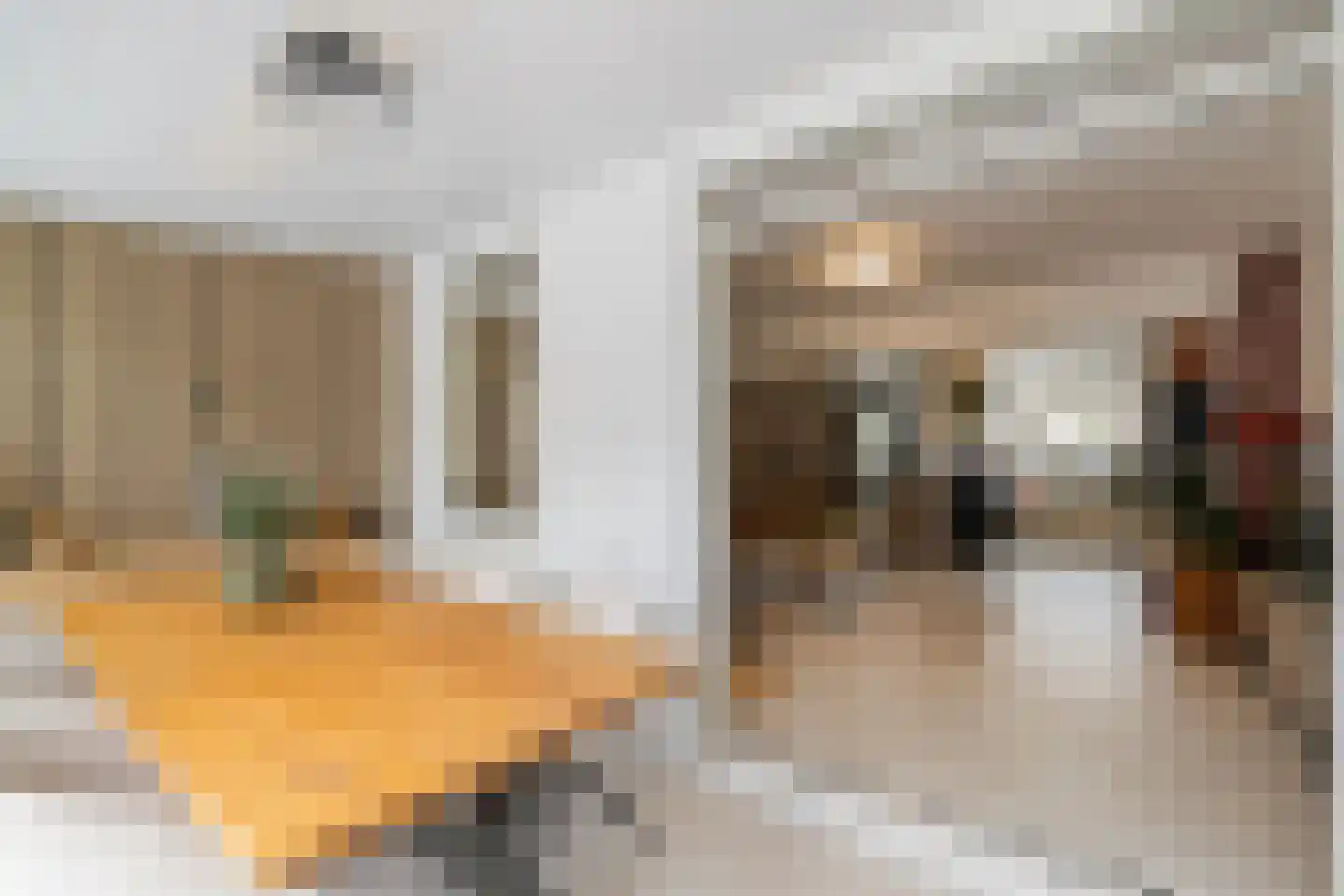 Sam van Houtenstraat 293 Amsterdam thumbnail 19