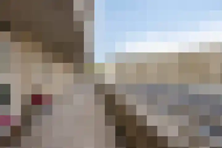 Samanthagang 106 Zoetermeer thumbnail 15