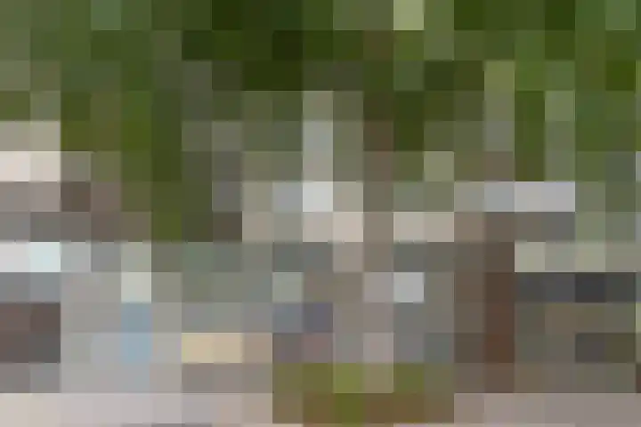 Samanthagang 106 Zoetermeer thumbnail 17