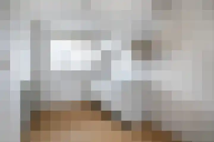 Samanthagang 112 Zoetermeer thumbnail 12