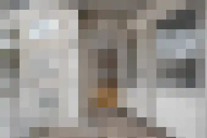 Samanthagang 112 Zoetermeer thumbnail 15