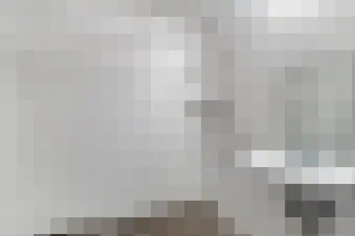 Samanthagang 112 Zoetermeer thumbnail 19