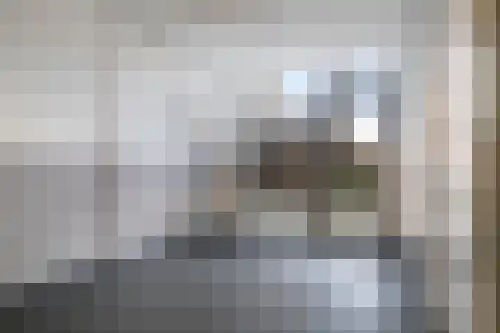 Samanthagang 112 Zoetermeer thumbnail 7