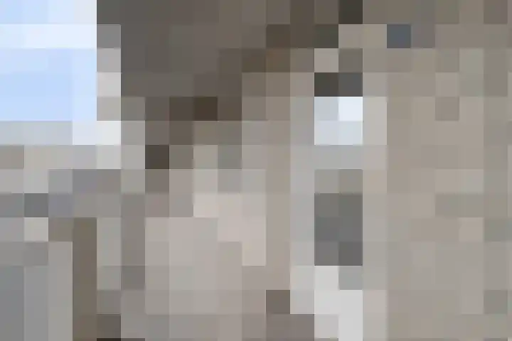 Samanthagang 112 Zoetermeer thumbnail 9