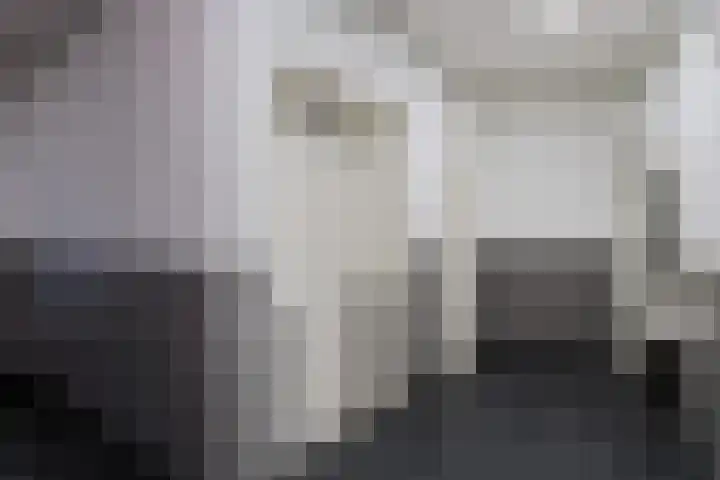 Samanthagang 122 Zoetermeer thumbnail 10