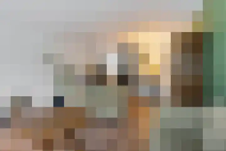 Samanthagang 122 Zoetermeer thumbnail 18
