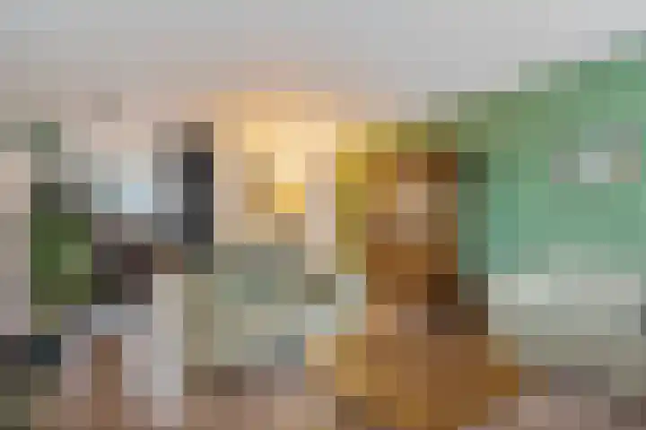 Samanthagang 122 Zoetermeer thumbnail 19