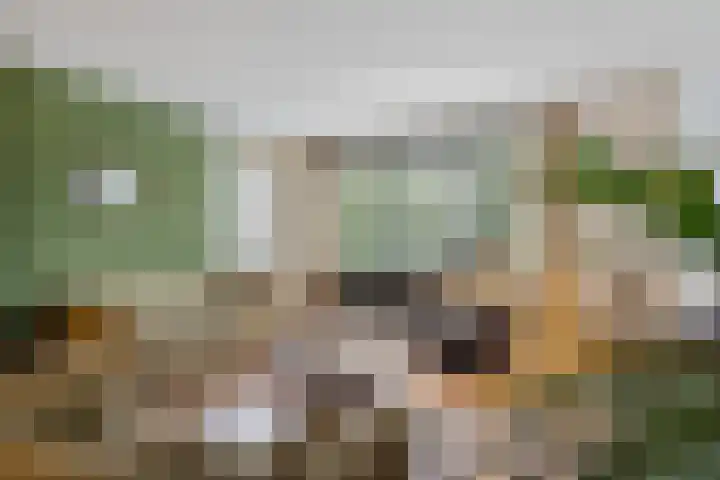 Samanthagang 122 Zoetermeer thumbnail 20