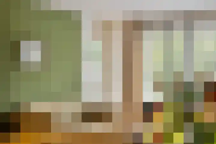 Samanthagang 122 Zoetermeer thumbnail 26