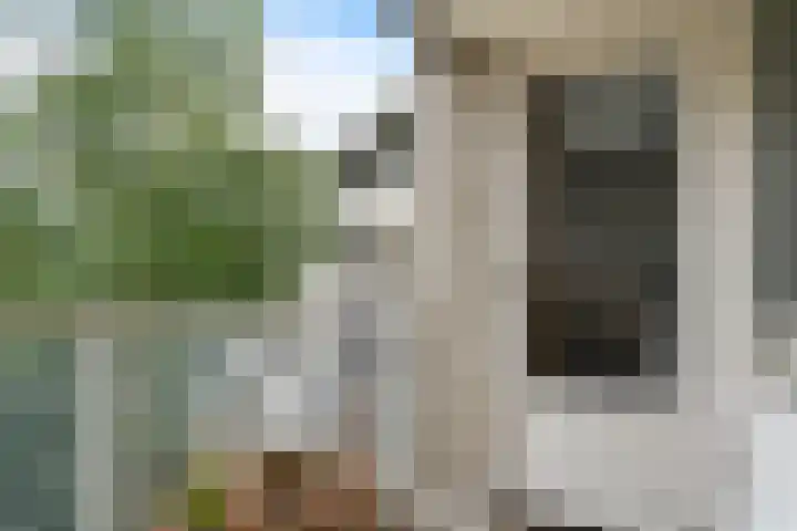 Samanthagang 122 Zoetermeer thumbnail 28