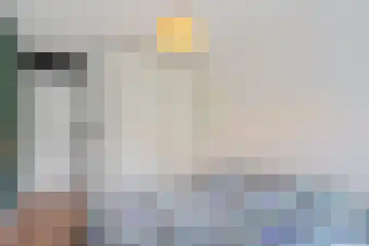 Samanthagang 122 Zoetermeer thumbnail 31
