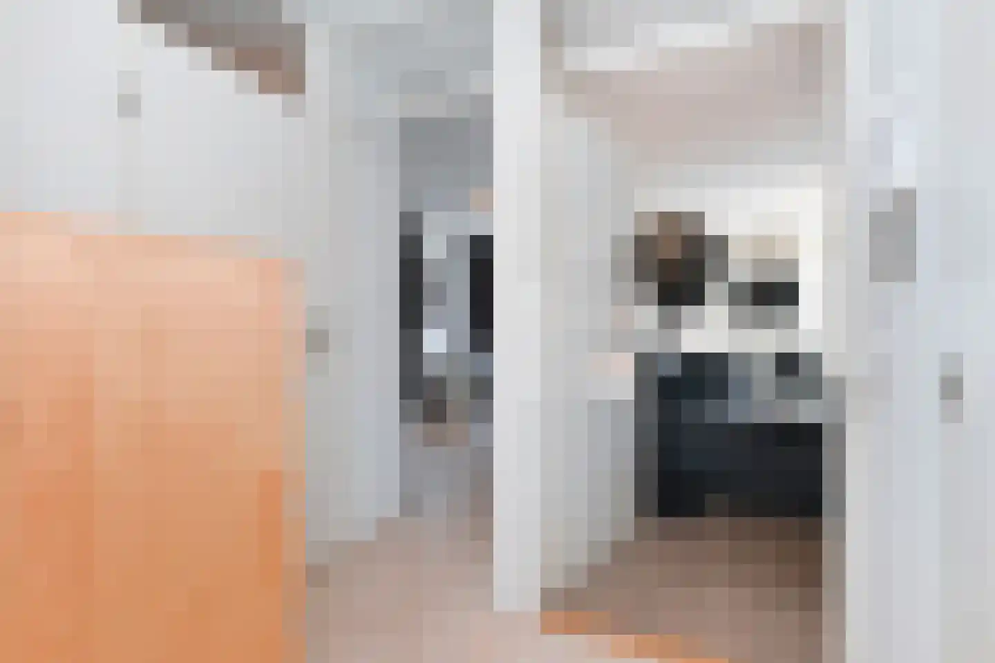 Samanthagang 126 Zoetermeer thumbnail 13