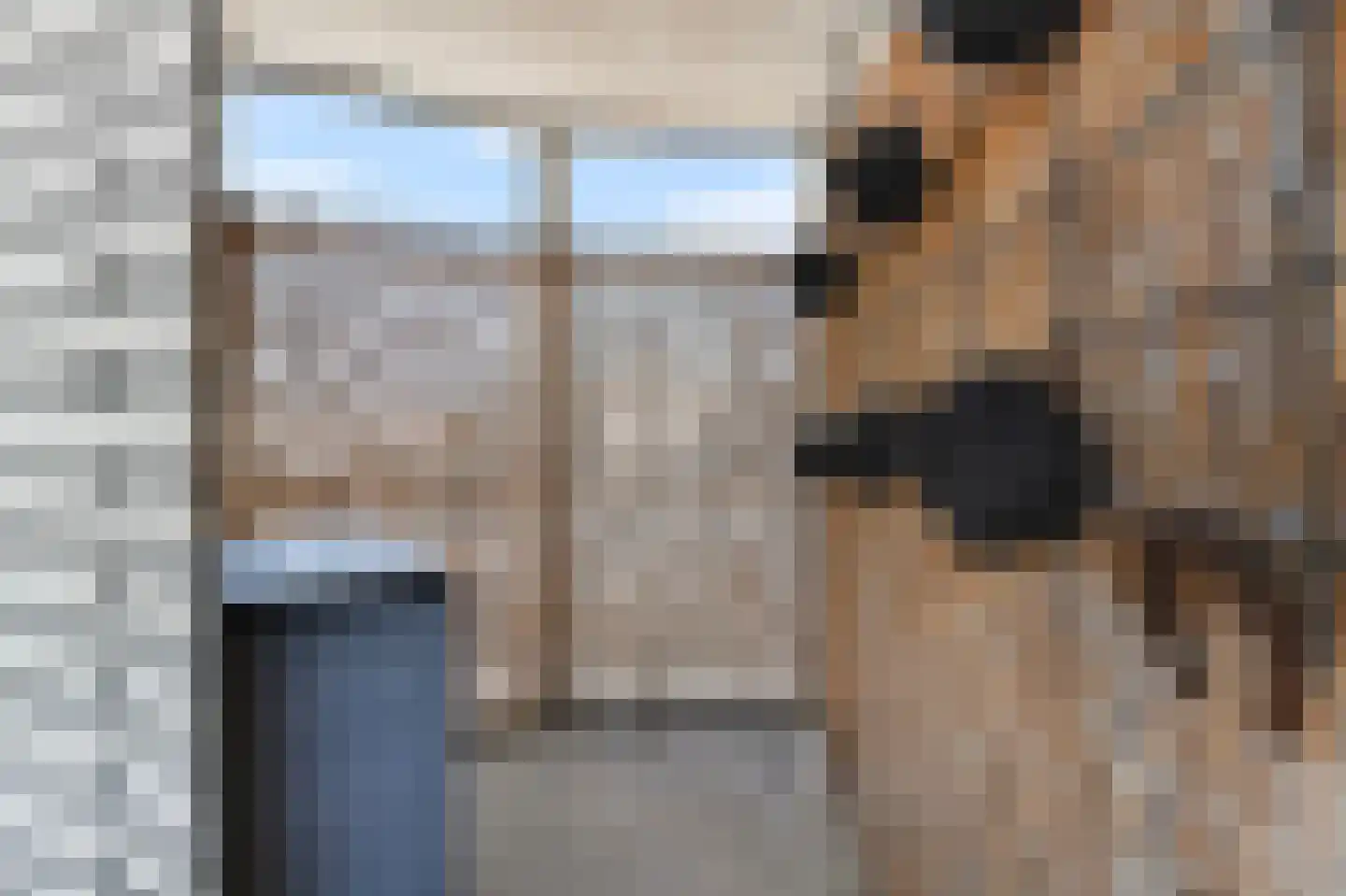 Samanthagang 126 Zoetermeer thumbnail 18
