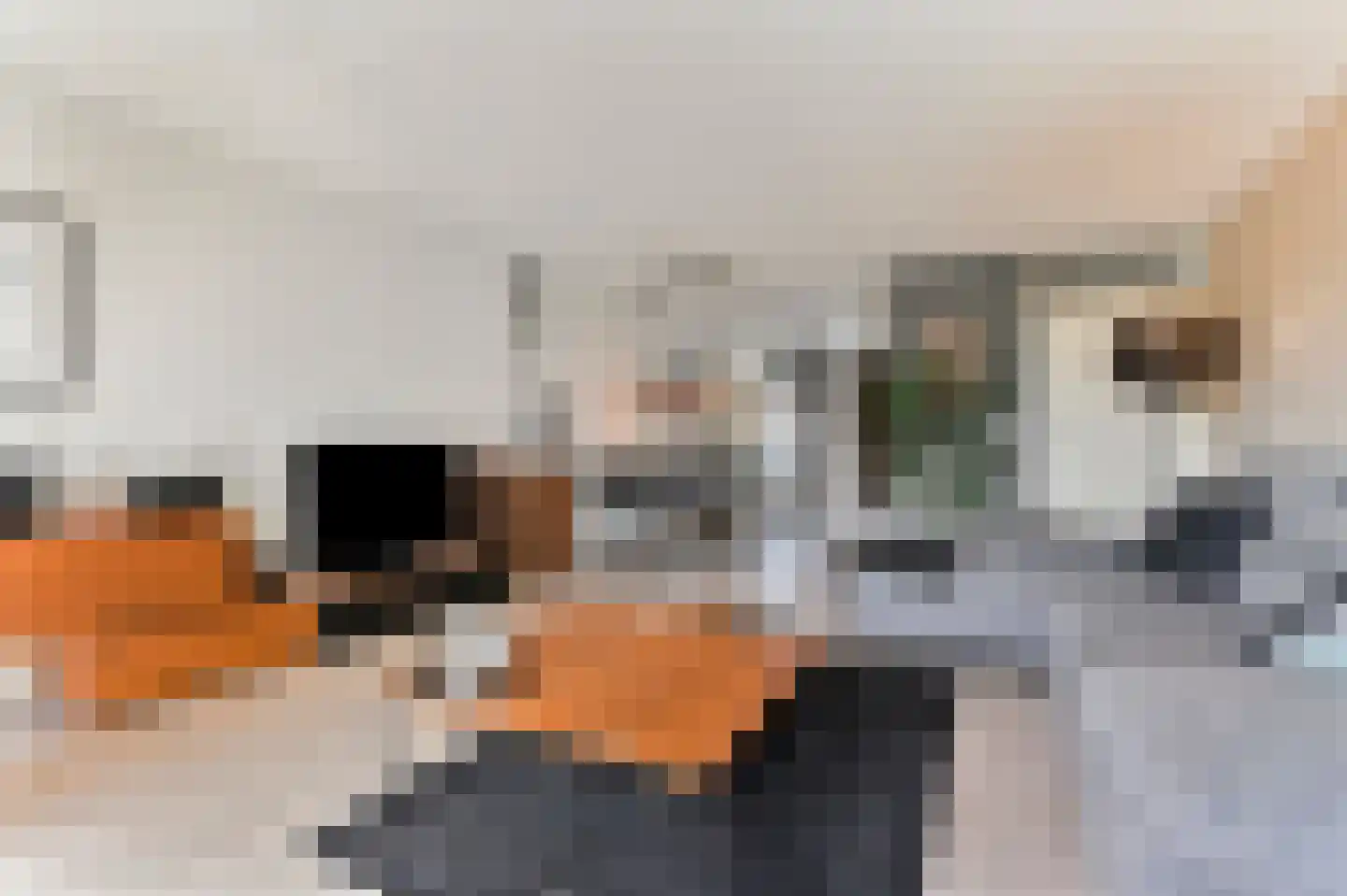 Samanthagang 126 Zoetermeer thumbnail 20