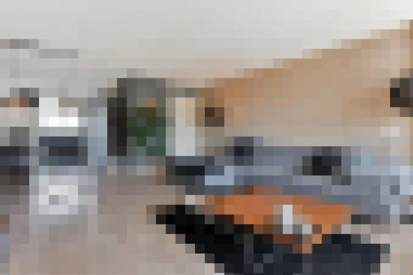Samanthagang 126 Zoetermeer thumbnail 21