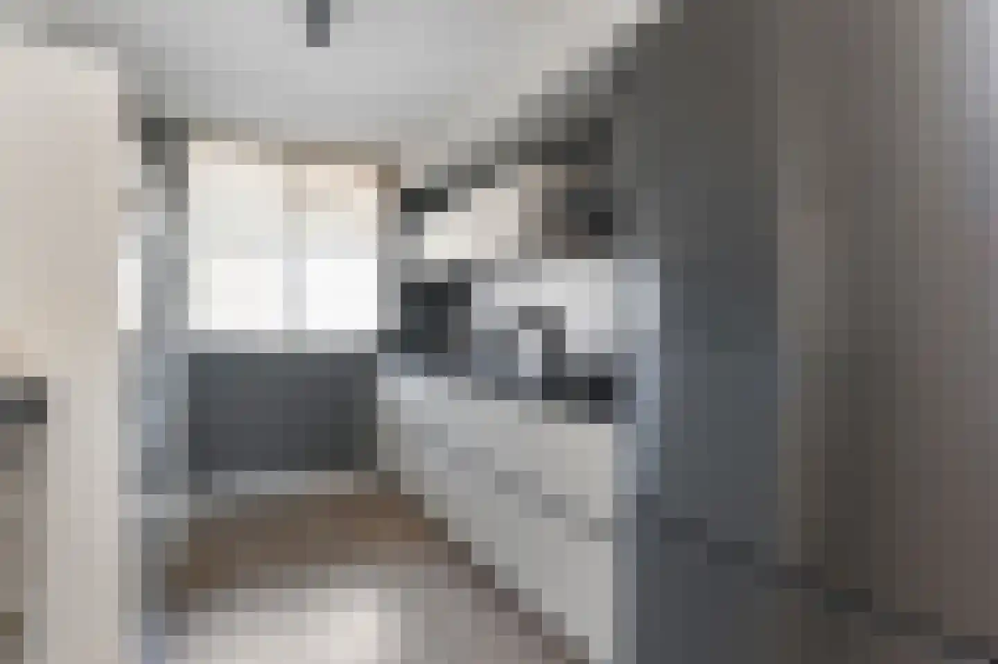 Samanthagang 126 Zoetermeer thumbnail 23