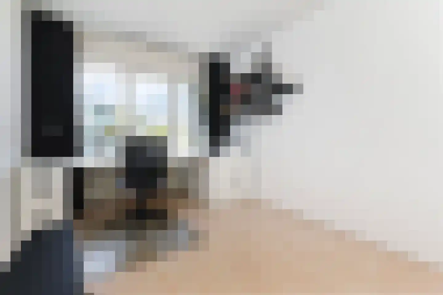 Samanthagang 126 Zoetermeer thumbnail 28
