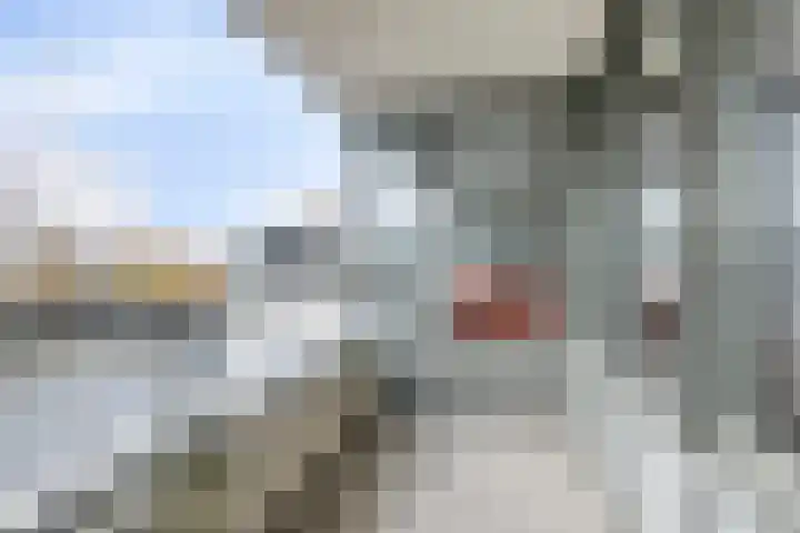 Samanthagang 132 Zoetermeer thumbnail 8