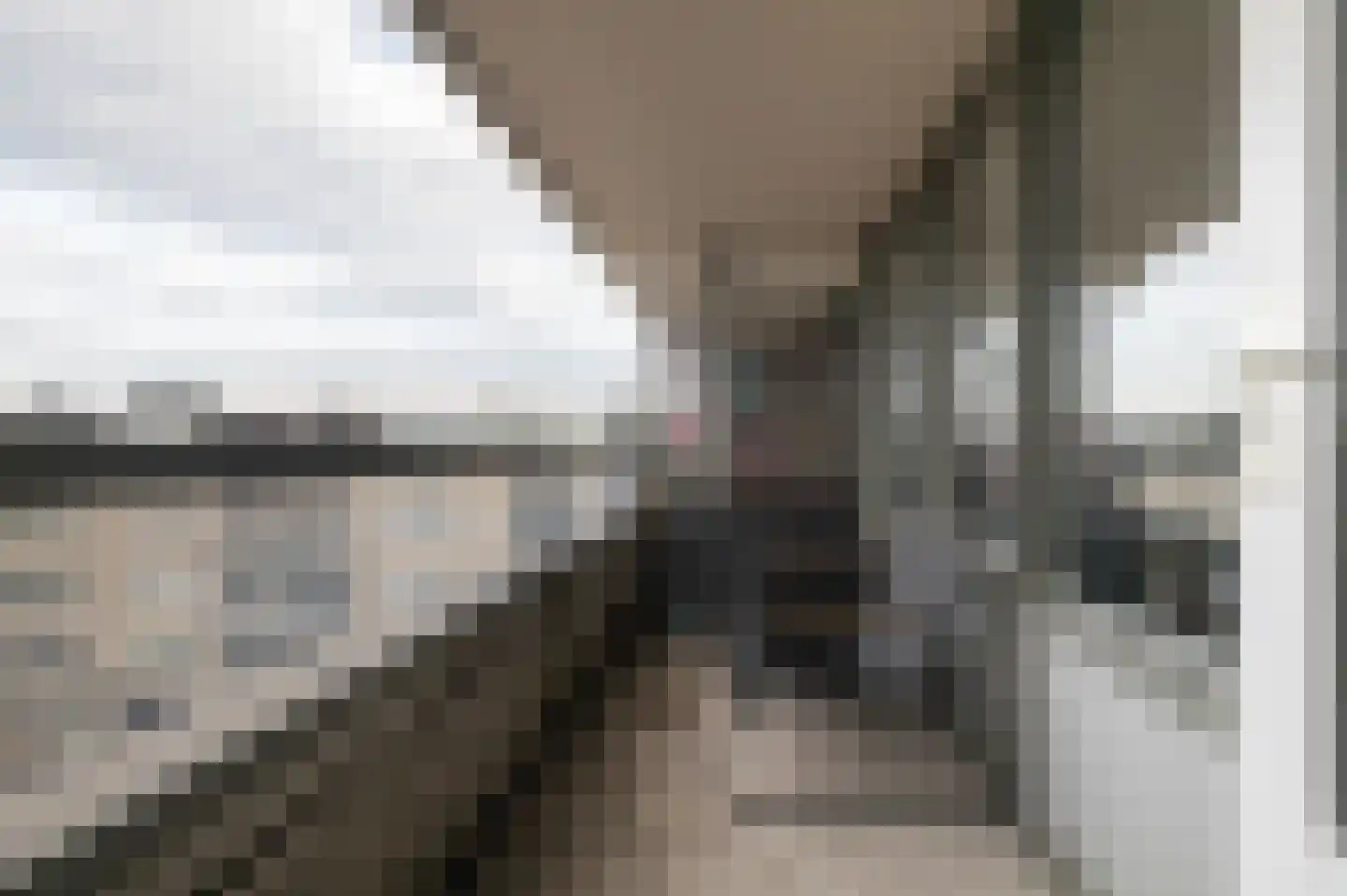 Samanthagang 176 Zoetermeer thumbnail 14