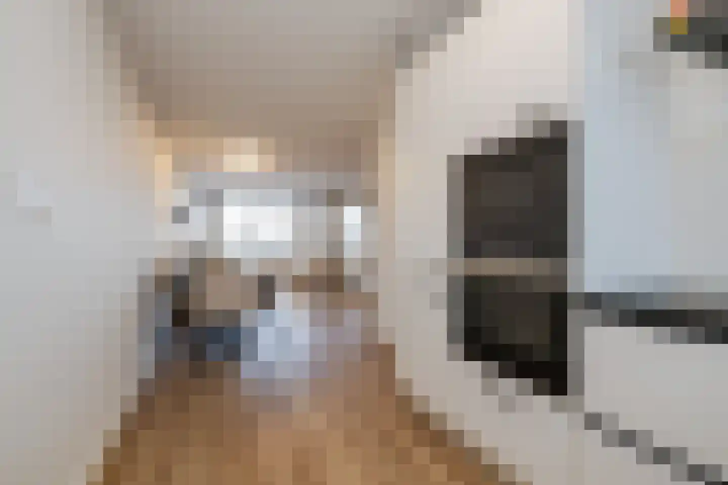 Samanthagang 176 Zoetermeer thumbnail 4