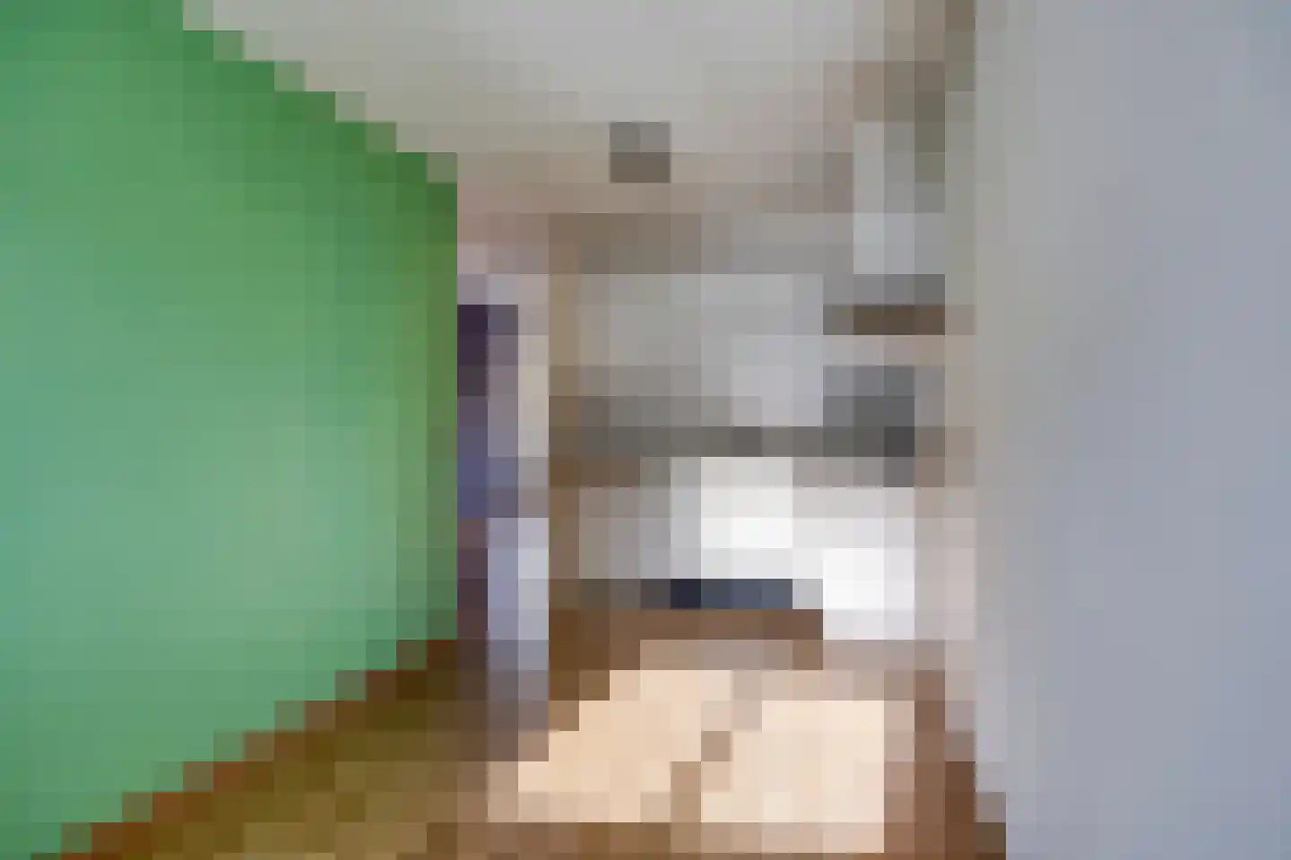 Samanthagang 24 Zoetermeer thumbnail 14