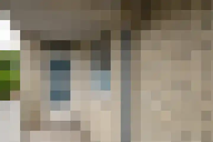 Samanthagang 30 Zoetermeer thumbnail 12