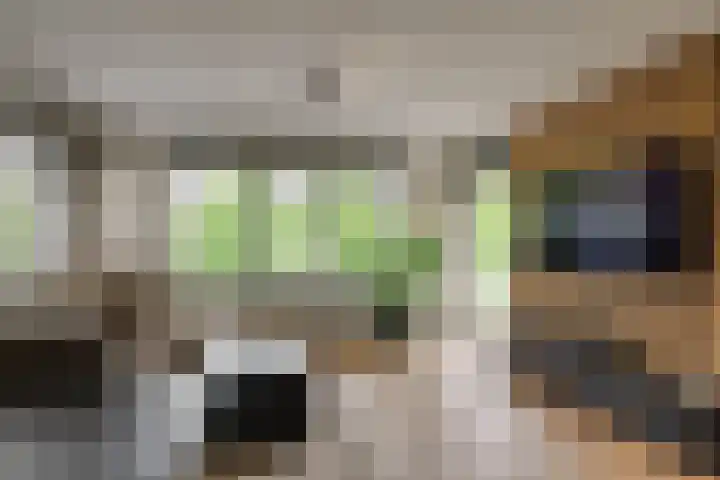 Samanthagang 30 Zoetermeer thumbnail 17