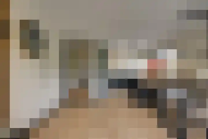 Samanthagang 30 Zoetermeer thumbnail 18