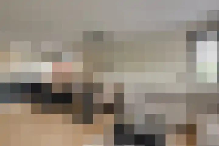Samanthagang 30 Zoetermeer thumbnail 19