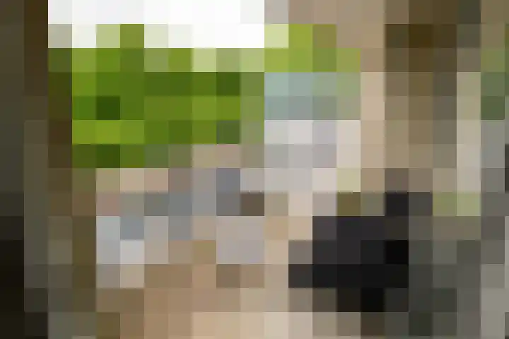 Samanthagang 30 Zoetermeer thumbnail 23